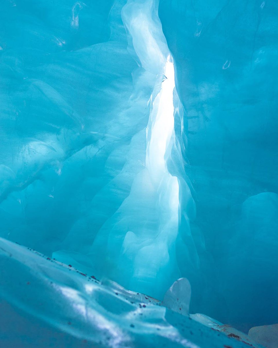 calgaryzoo's tweet image. Join us this Sunday, July 27th, as our friends from @ParksCanada share the mystery and importance of glaciers! 🧊
You can find this information booth in #WildCanadaYYC from 9:00 a.m. to 4:00 p.m. on the dock by the whooping crane habitat. ❄️
#YourZooYYC