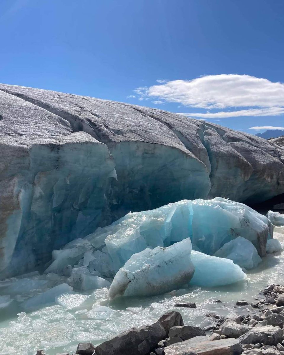 calgaryzoo's tweet image. Join us this Sunday, July 27th, as our friends from @ParksCanada share the mystery and importance of glaciers! 🧊
You can find this information booth in #WildCanadaYYC from 9:00 a.m. to 4:00 p.m. on the dock by the whooping crane habitat. ❄️
#YourZooYYC