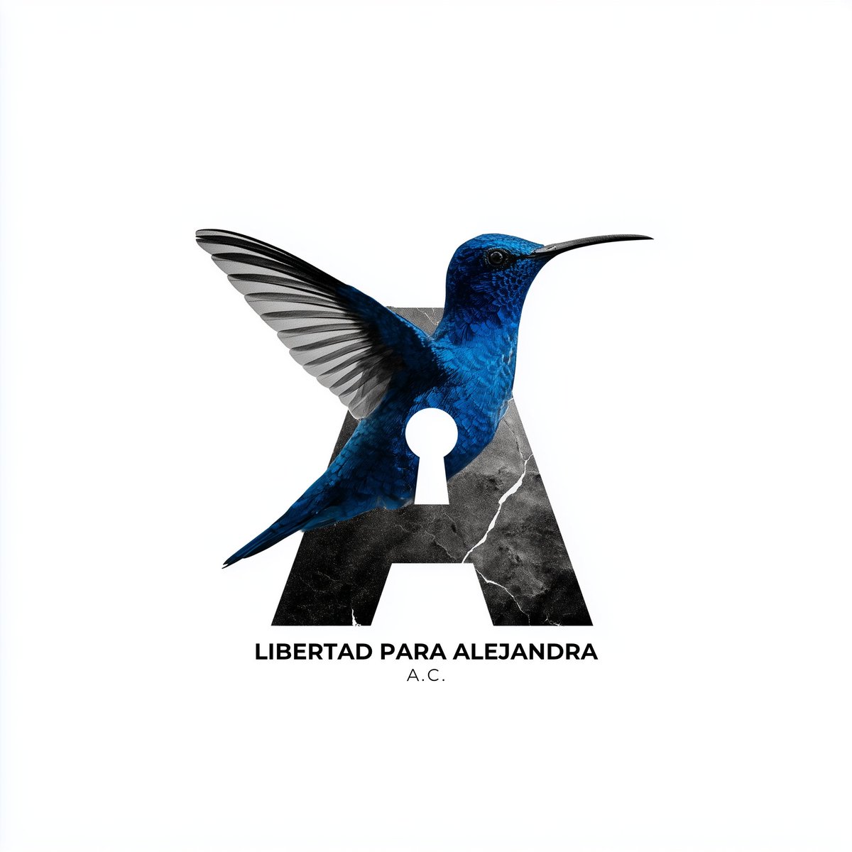 AleCuevasMoran's tweet image. Con el pecho incendiado de gratitud y la mirada puesta en un horizonte de justicia, anunciamos una nueva etapa de Libertad para Alejandra A.C.: una estructura más sólida, nacida de la continuidad de nuestra lucha, que crece, se fortalece y cobija con raíces firmes y ramas…