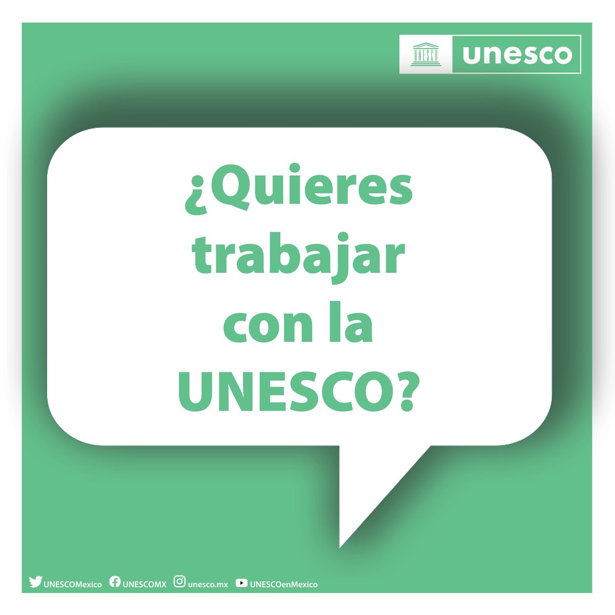 UNESCOMexico's tweet image. 💼Tenemos una #Convocatoria para organizaciones e instituciones que puedan formar un equipo de especialistas en #CienciasNaturales para generar e implementar una propuesta de recuperación y revegetación de dunas costeras en #Tabasco.
⏰Cierre: Julio 28.
➡️ f.mtr.cool/cnebclefzr