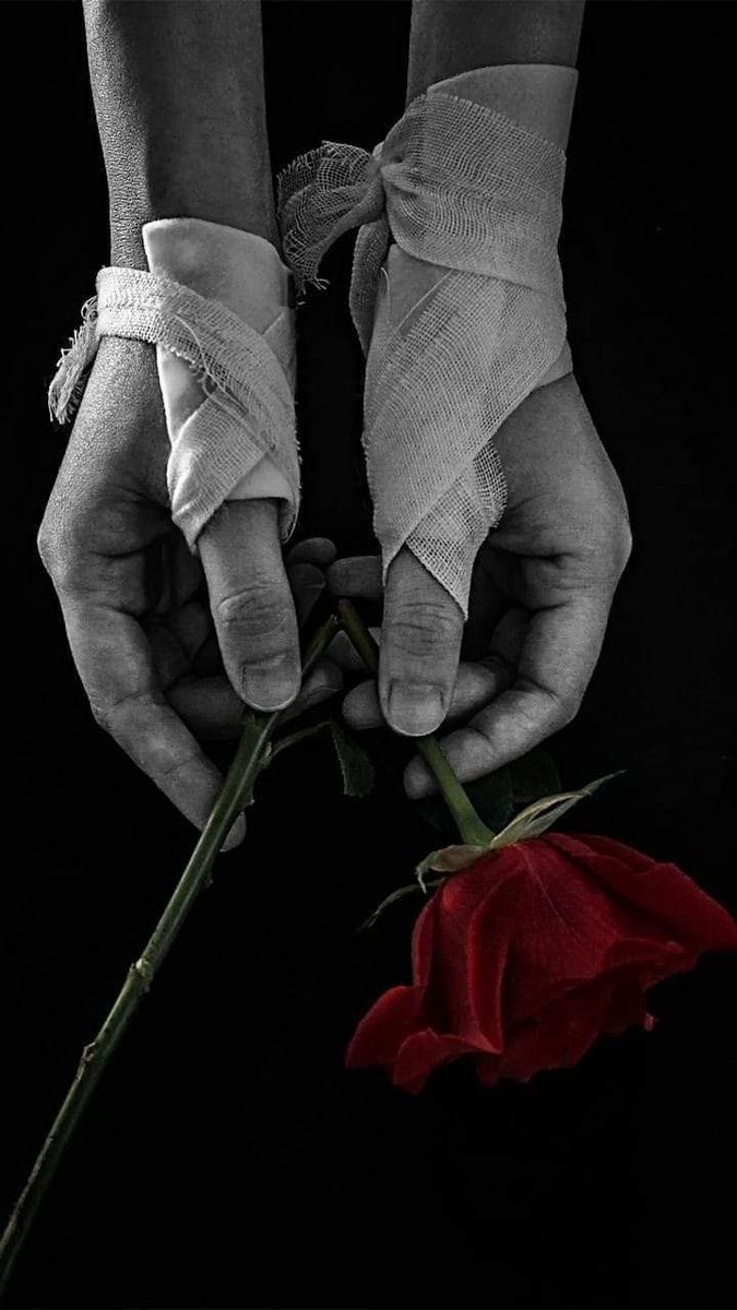 Evening 🌹