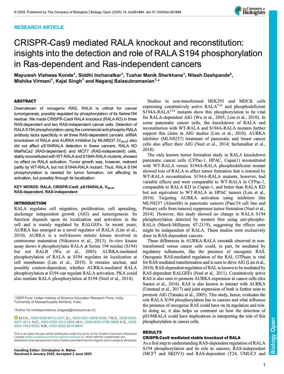 AdhesionLab's tweet image. Out this week in print...
Mayuresh's work from the lab making CRISPR-Cas9 RALA knockout (RALA KO) in three RAS-dependent and two RAS-independent cancer cells, evaluating the role of RALA S194 phosphorylation by stable reconstitution with WT-RALA and S194A-RALA mutants.…