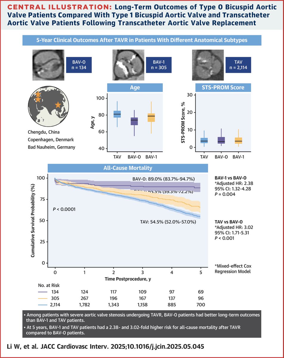 drbennisahmed's tweet image. Long-Term Outcomes of BAV-0 Patients Compared With BAV-1 and TAV Patients After TAVR
Among patients with severe AS undergoing TAVR, BAV-0 was associated with a better long-term prognosis compared with TAV and BAV-1
jacc.org/doi/10.1016/j.…