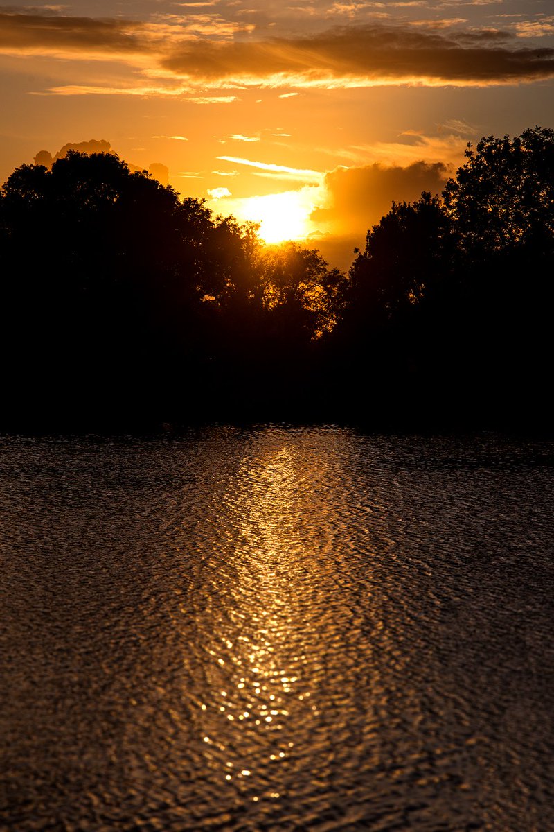 Weekend_Rebel's tweet image. The golden reflections of the setting sun...
#sunsetphotography #goldenhour #sunset #nikon