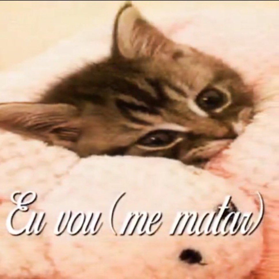 fionappleism's tweet image. quando acontece uma coisa ruim e vc so quer o seu namorado por perto mas ele mora na puta que pariu e vc acabou de voltar da casa dele