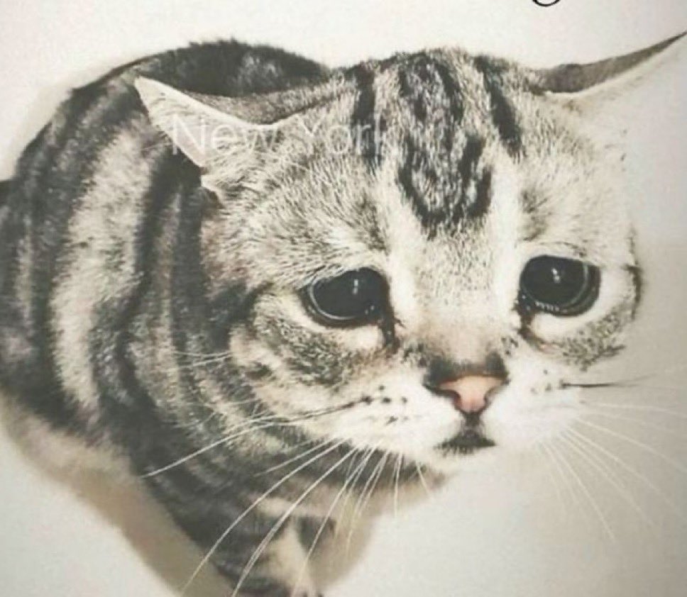 fionappleism's tweet image. quando acontece uma coisa ruim e vc so quer o seu namorado por perto mas ele mora na puta que pariu e vc acabou de voltar da casa dele