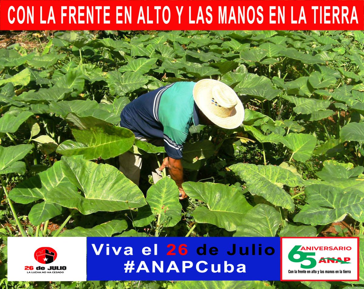 #Revolución es luchar por nuestros sueños de justicia para #Cuba y para el mundo #LaLuchaNoHaCesado