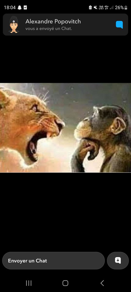 S/O Mowglie tweet media