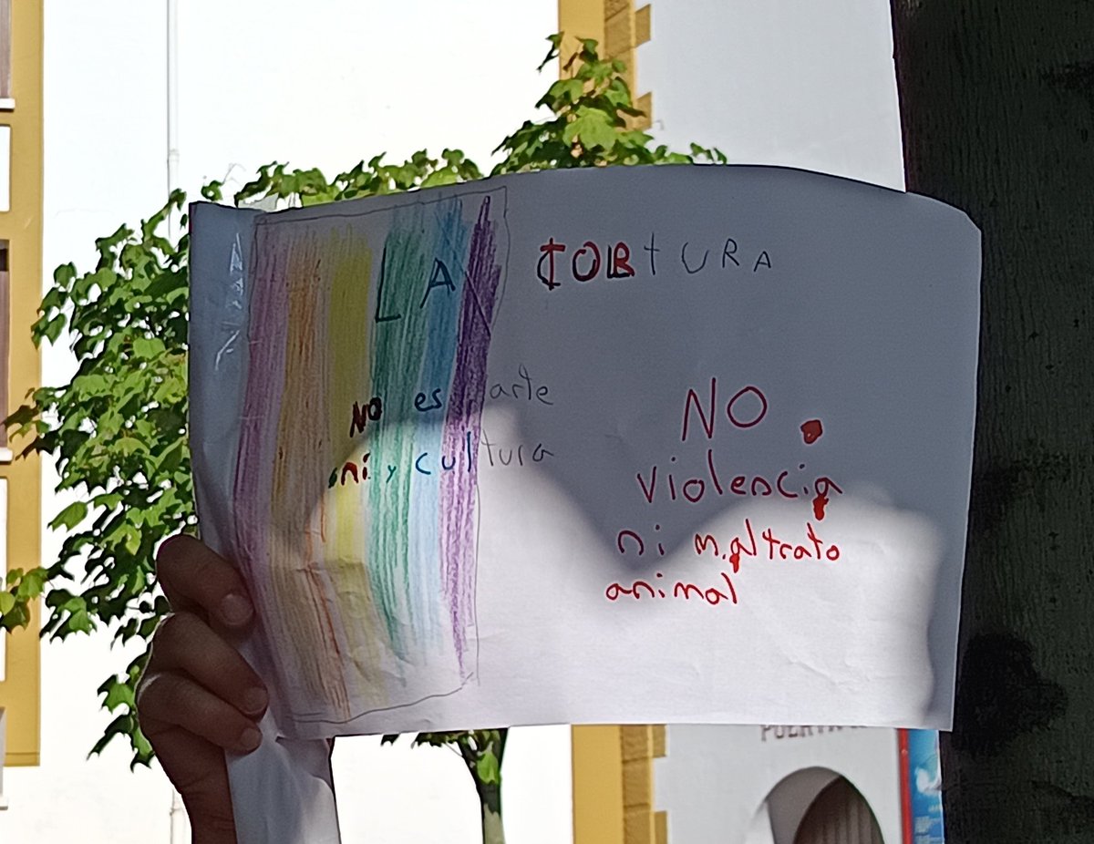 Chus Pelayo 💢🐶 tweet media