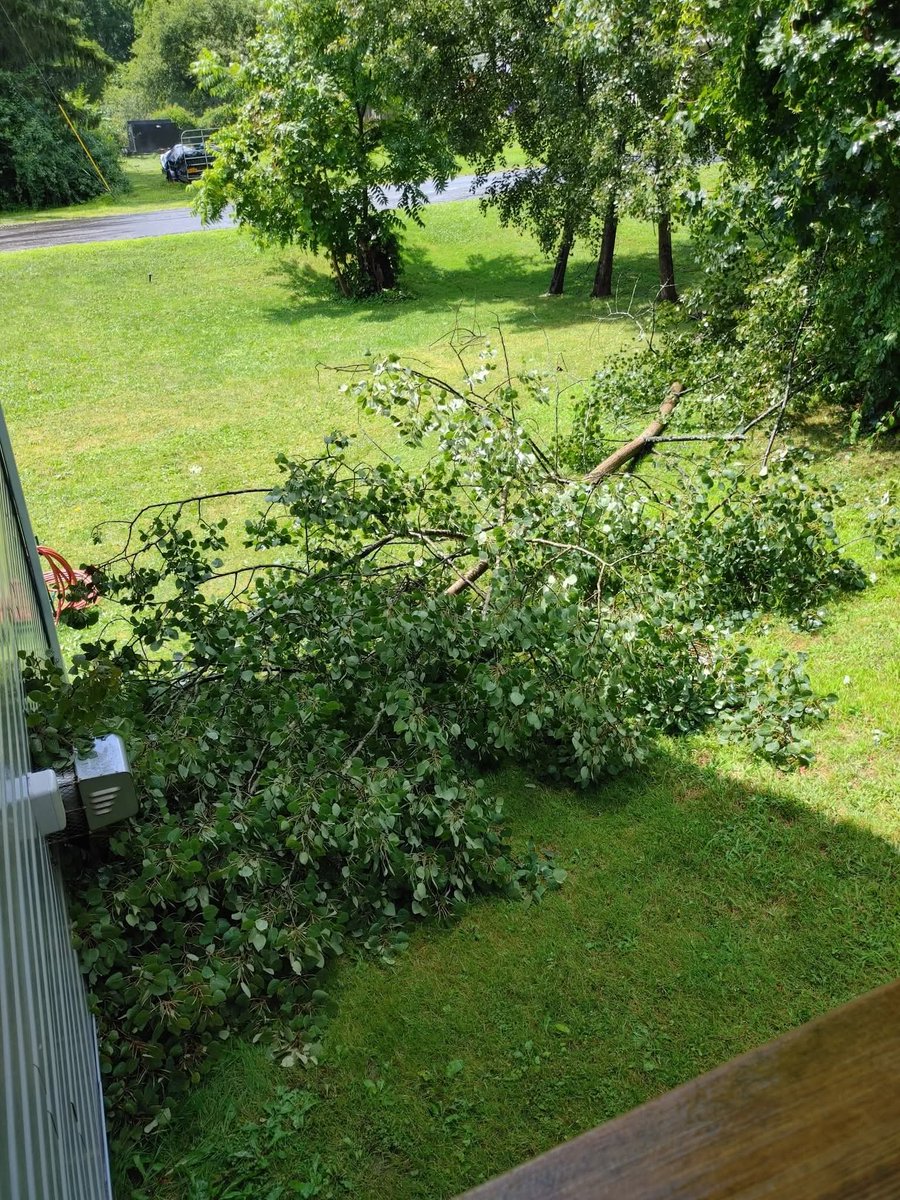 StephenGnos's tweet photo. Just had a tree come down in our yard ⛈️🌲 https://t.co/L5IkdupriC