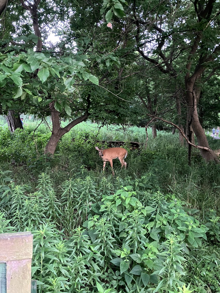 🆗🆒 tweet media