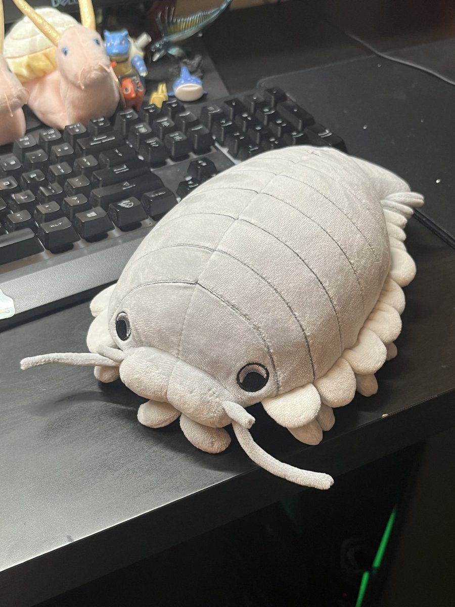 sneepsnorp3d's tweet image. IT’S HER FIRST BIRTHDAY EVER! giant isopod plushies available NOW!!!! :D
