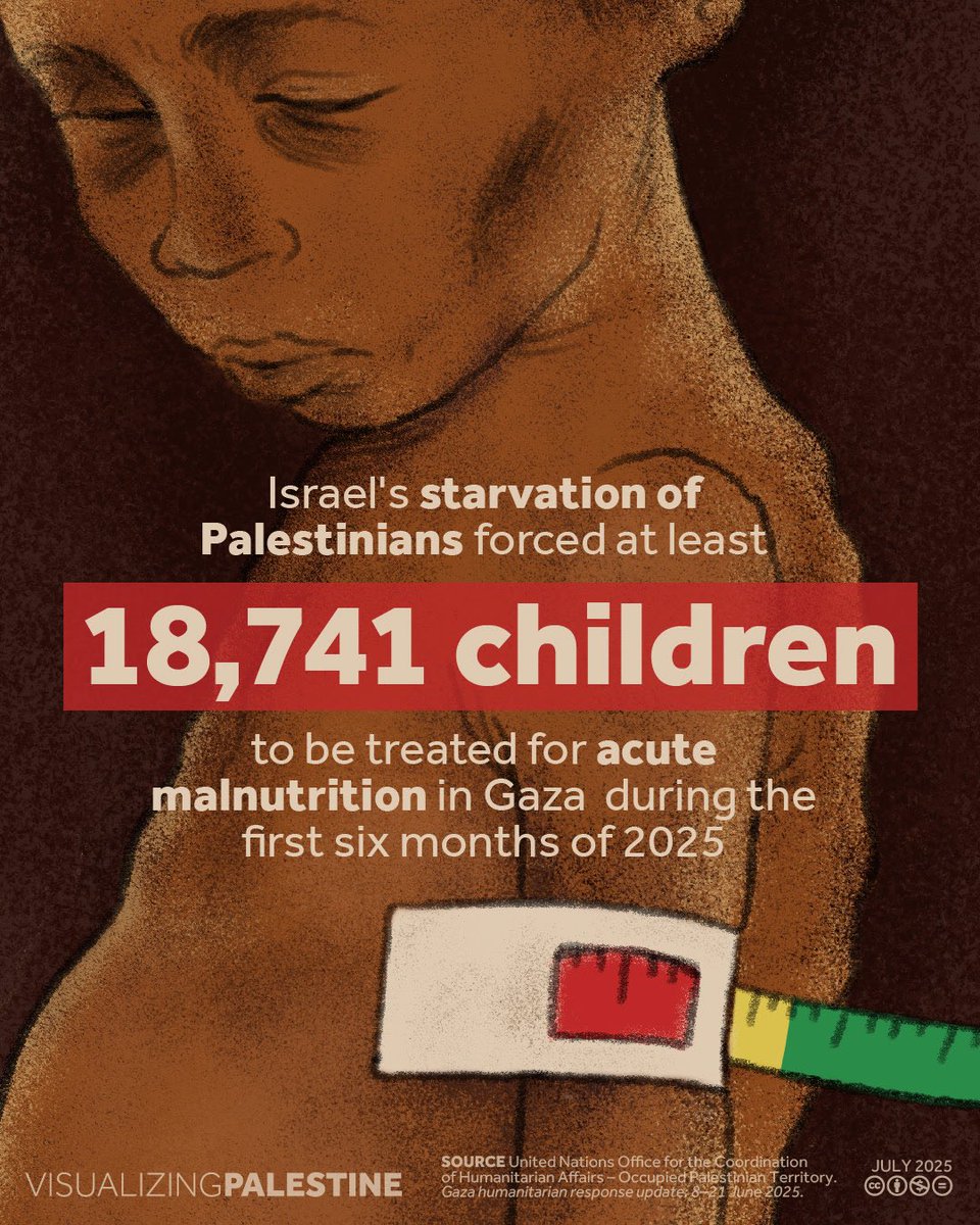 Motasem A Dalloul (@abujomaagaza) on Twitter photo 