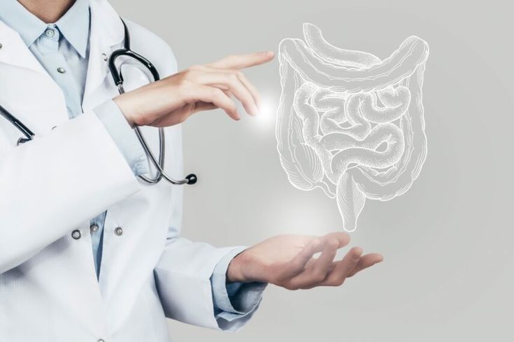 مشاريع تخرج
حل واجبات
كيمياء عضوية
حل اختبارات
احياء بيولوجي
تقارير ميدانية
مشروع اقتصادي
تصميم تطبيقات
تلخيص محاضرات
ادارة أعمال
حاسب IT
إنجليزي
برمجة ماتلاب