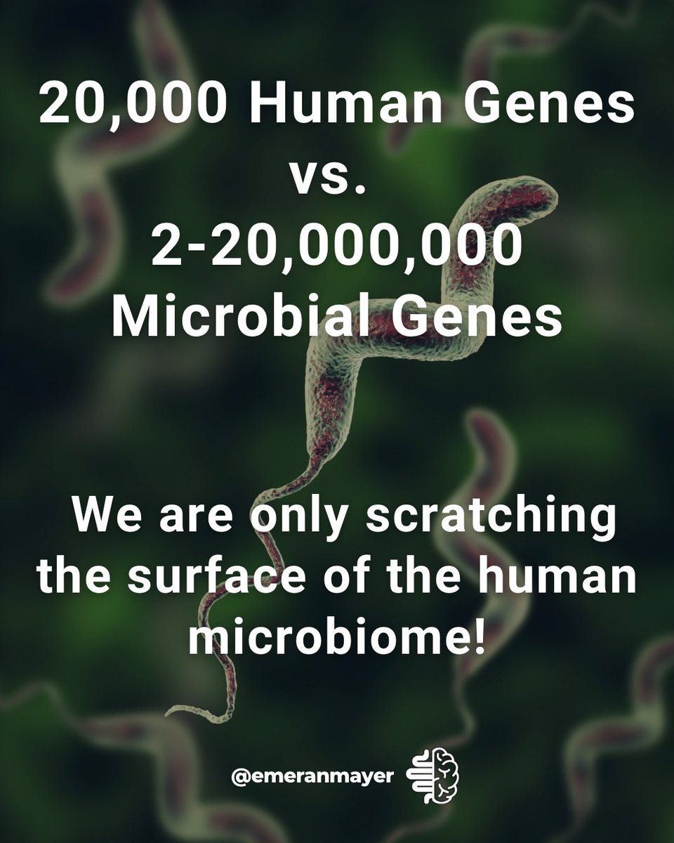 EmeranMayerMD's tweet image. Emerging science shows that cultural factors play an important but often ignored role in diet and microbiome.
A shift back towards ancestral diet patterns (whole foods, few chemicals, low sugar) are expected to reduce the mismatch and immune activation, causing beneficial…