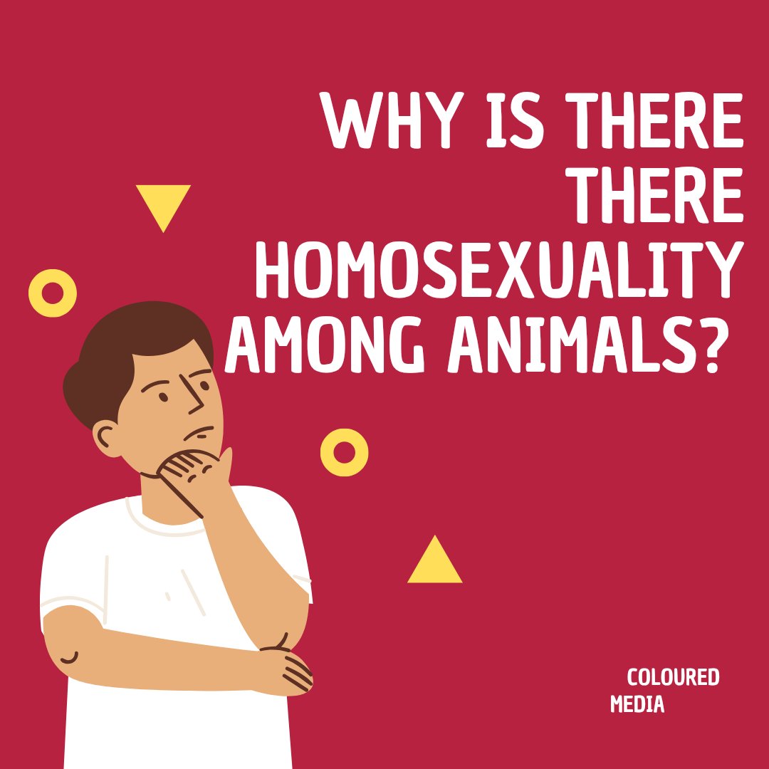 TruthLgbtq's tweet image. Homosexuality is widespread in nature and well documented in non-human animals.
