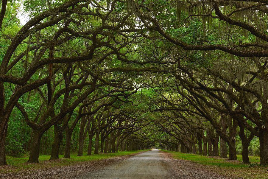 ImagesByJonEvan's tweet image. Photography is a great way to decorate your walls and add unique textures to your space #Buyintoart #homedecor #homedecoration #artwork #interiordecorating #travel #artprints #wallart #giftidea
Click link for info and pricinghttps://buff.ly/40hWS8y