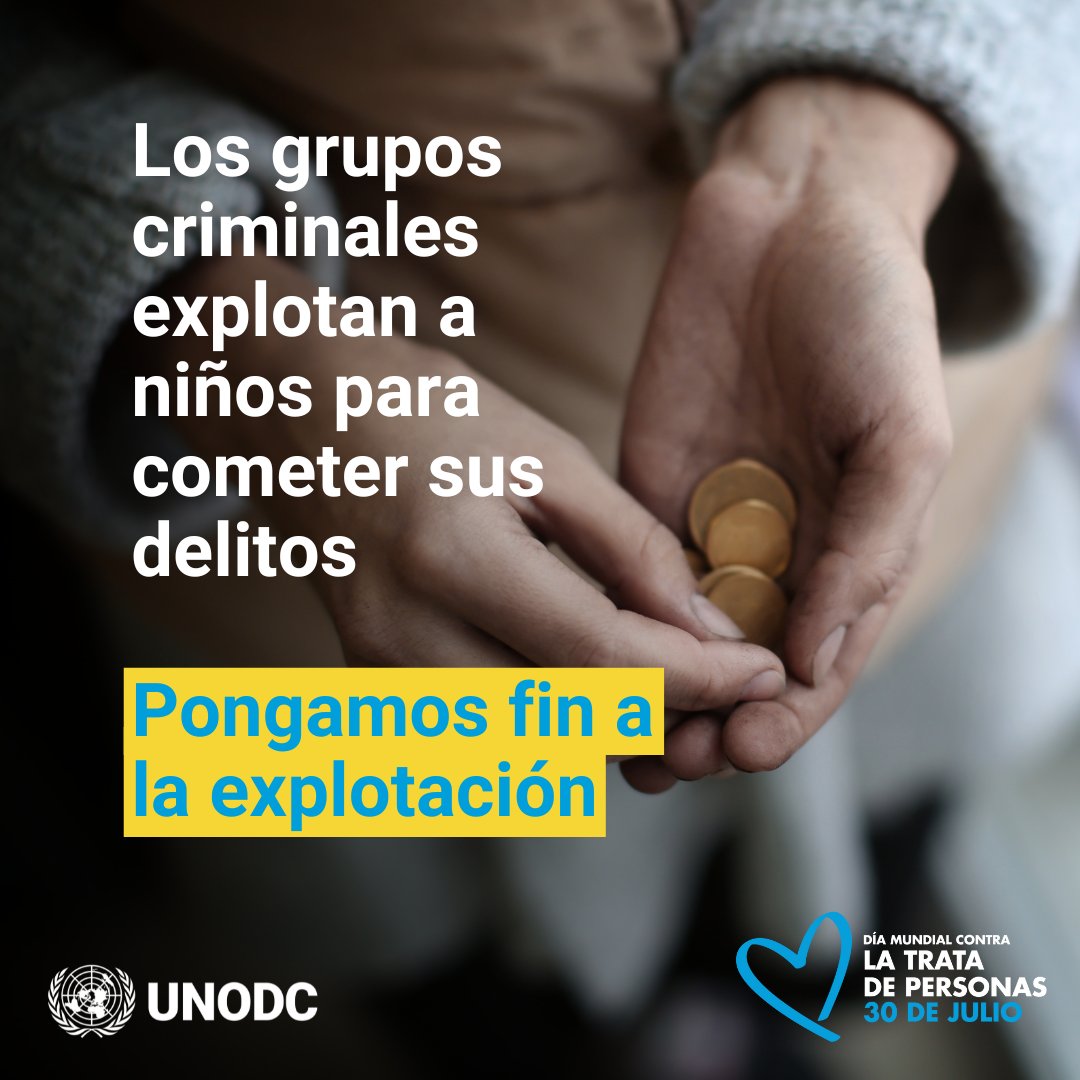 Los cárteles de la droga en Europa tratan niñas y niños, utilizándolos como vehículo para el tráfico de drogas.

La identificación temprana, una protección más sólida y el apoyo adaptado a víctimas menores edad son clave para poner #FinALaExplotación

#EndHumanTrafficking