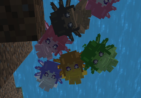 XaterixH's tweet photo. Axolotl Party https://t.co/gOozYU5zdX