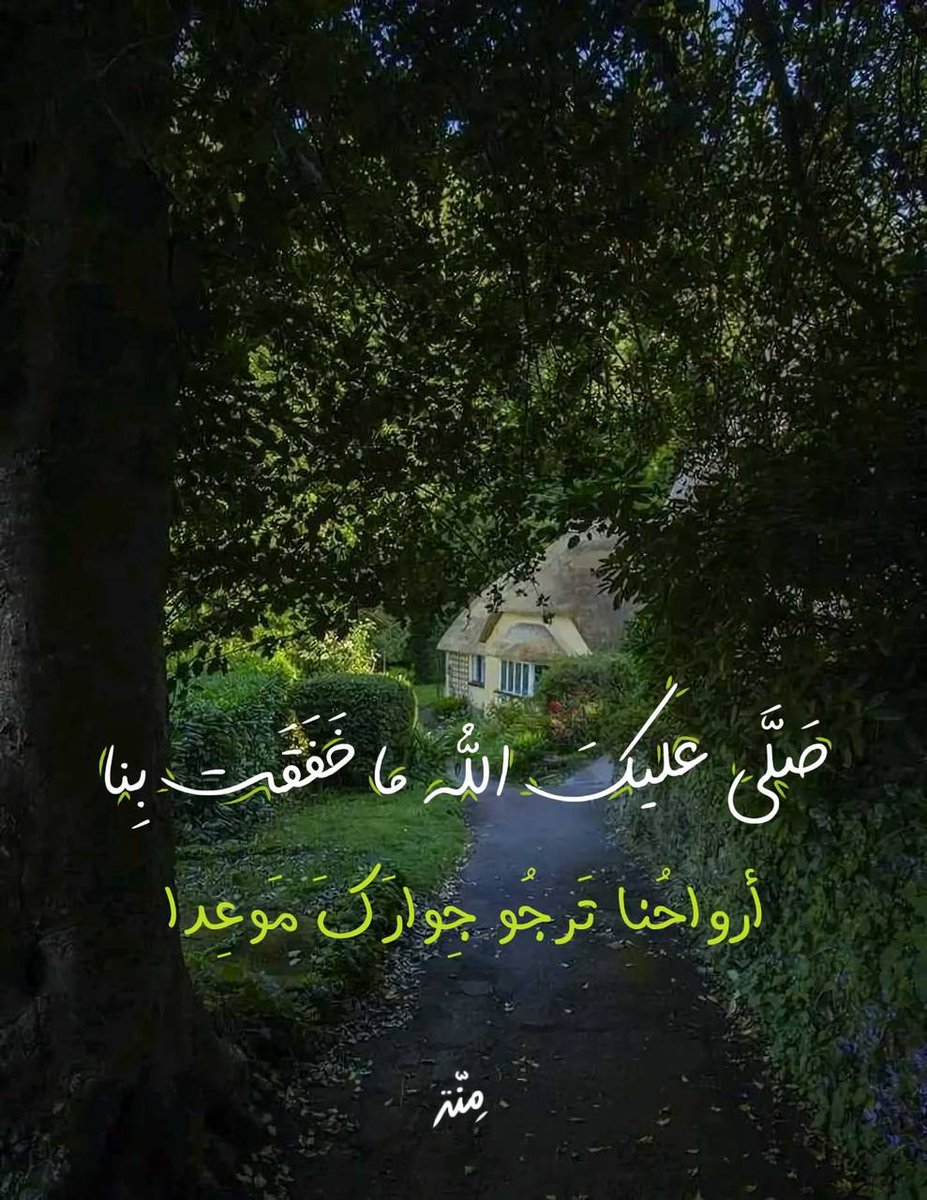 البوصلة tweet media