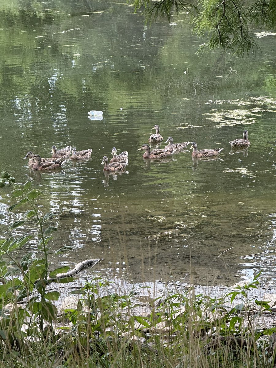 a virgin man 💰 tweet media