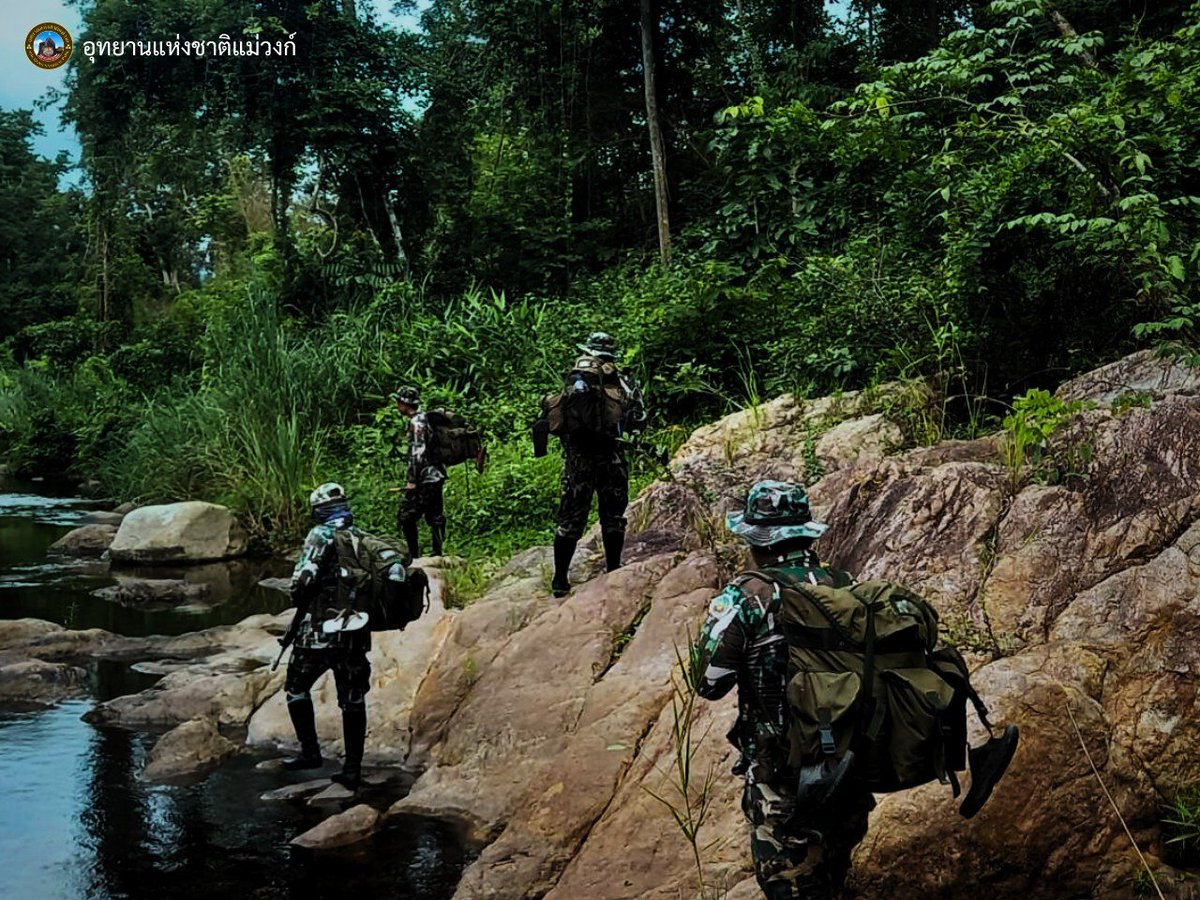 ภาพภารกิจการออกลาดตระเวนเชิงคุณภาพ (SMART Patrol) ของเจ้าหน้าที่พิทักษ์ป่า อุทยานแห่งชาติแม่วงก์ จังหวัดกำแพงเพชร เพื่อป้องกันและปราบปราม การกระทำผิดกฎหมายเกี่ยวกับการป่าไม้และสัตว์ป่าในพื้นที่รับผิดชอบ 
#เจ้าหน้าที่พิทักษ์ป่า #กรมอุทยานแห่งชาติ #อุทยานแห่งชาติแม่วงก์ #กำแพงเพชร