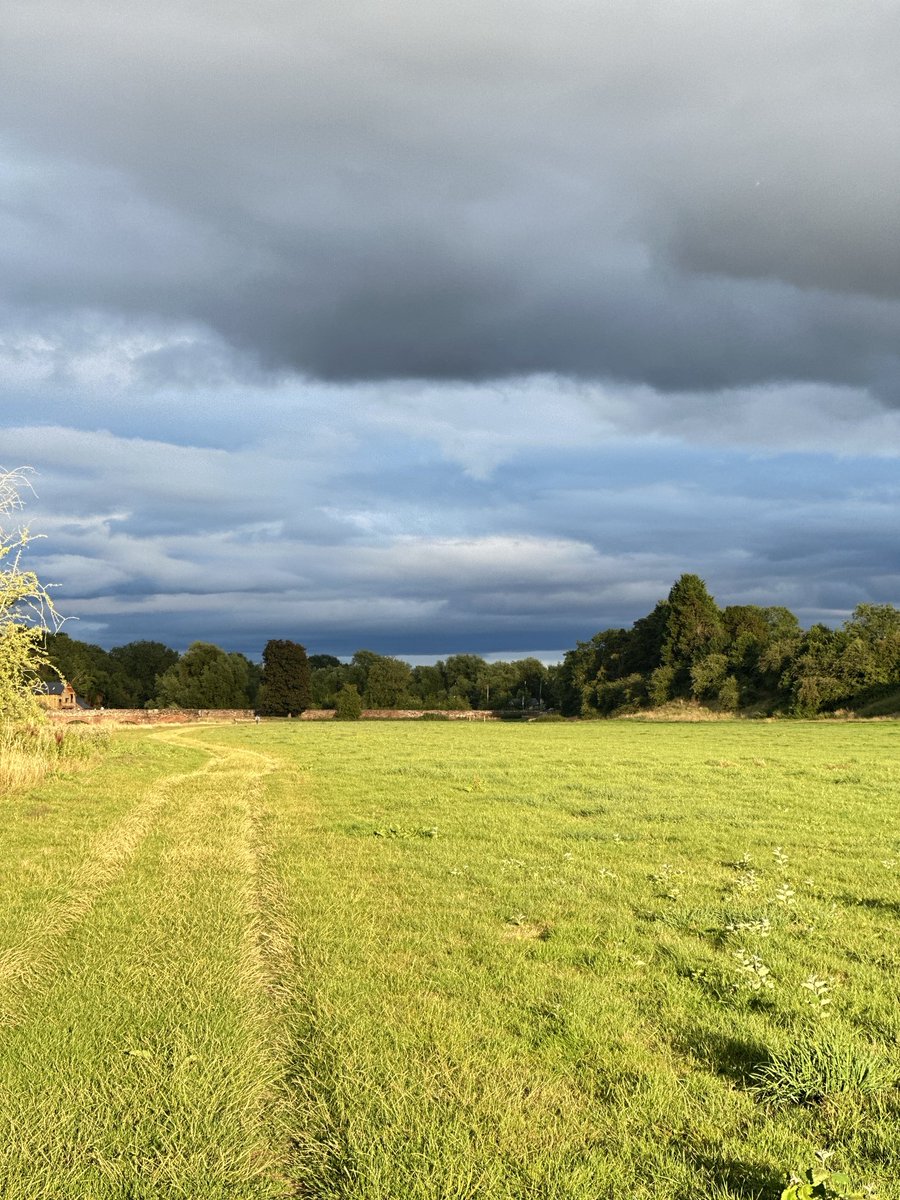 Steveellis06's tweet image. Beautiful evening. First day of summer break for schools.