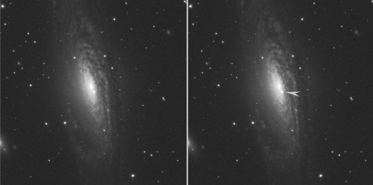 Dave_StarGeezer's tweet image. 40 million years ago, a star in a distant galaxy (NGC7331 in Perseus) came to an extremely dramatic end of life as a supernova. We are only just starting to see this now as the light races past us. It's been cloudy for ages, so used the Schools' Observatory to capture this image.