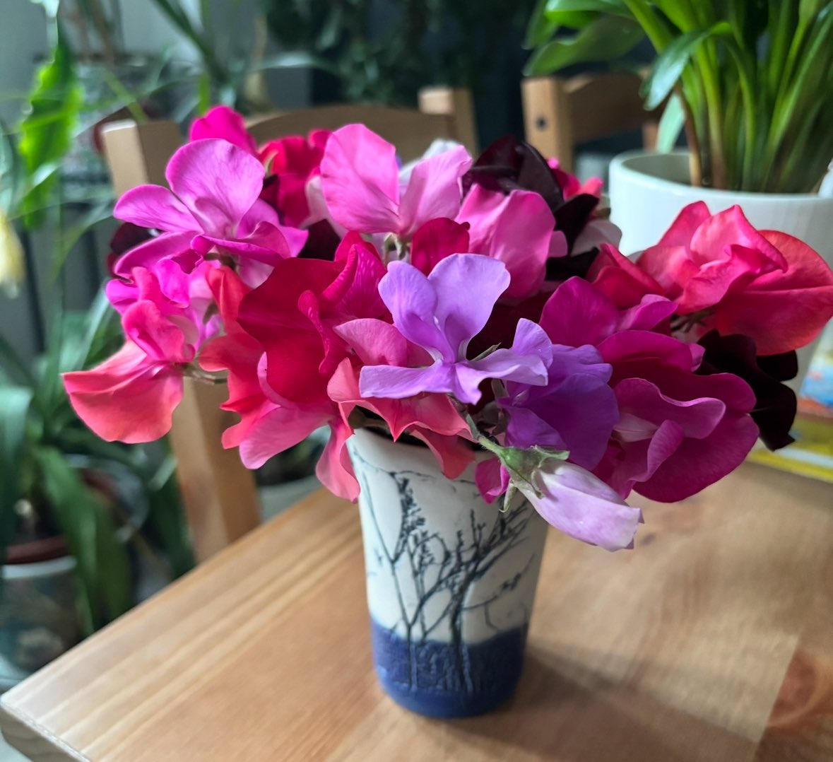 NoniSturge's tweet image. I’ve grown some plants for cut flowers. Sweet peas have been fab! Just love having them in the house. I was lucky enough to visit a flower meadow this week. Don’t they look gorgeous in a vase? Have a wonderful evening everyone 🌸💕 #GardenersWorld