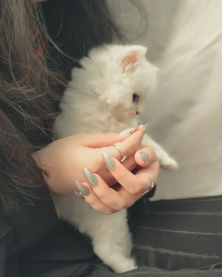 يشتكون من السيء 
ويستغلون الطيب . #Yamen