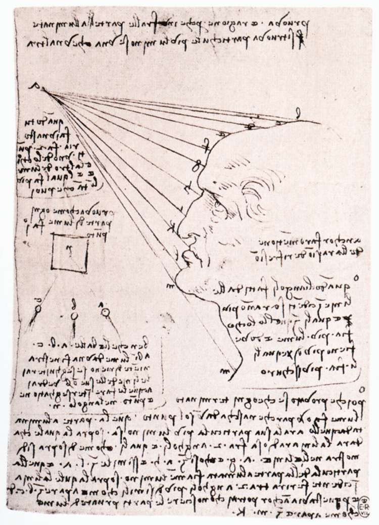 Study of the effect of light on a profile head (facsimile) #artbots #davinci