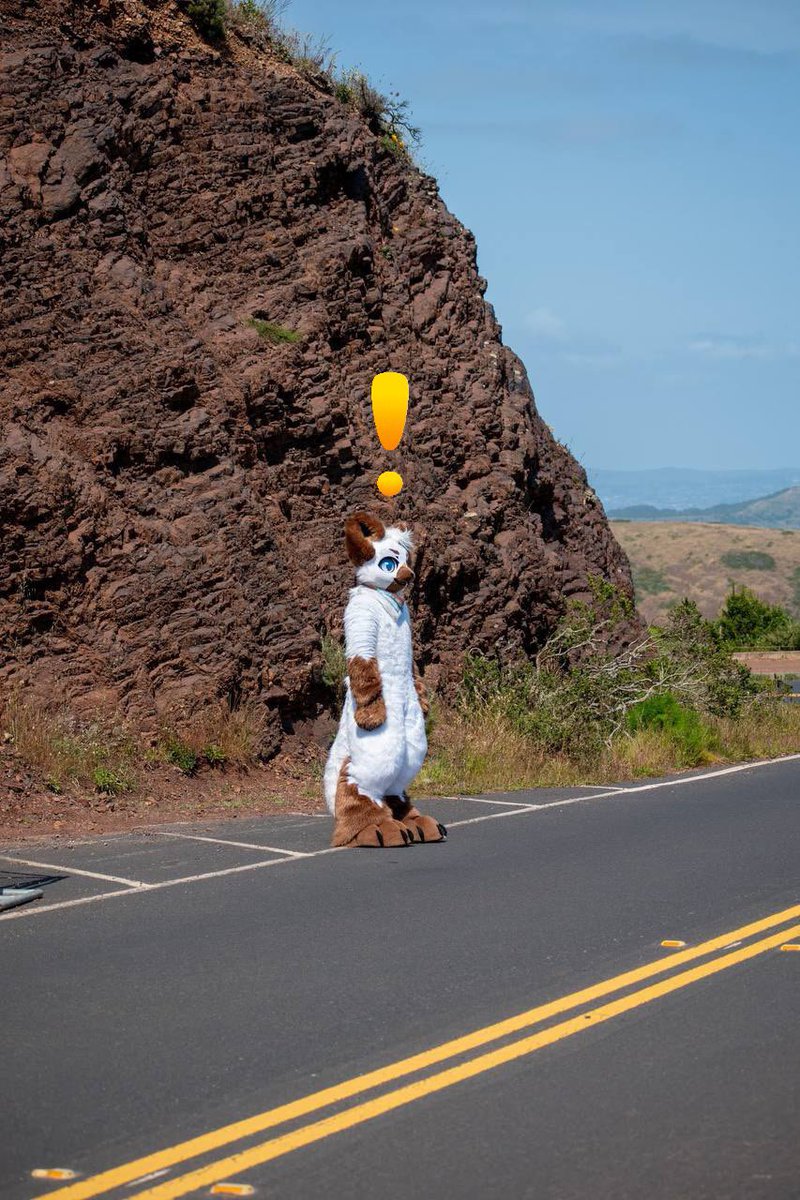 you’re about to receive the stupidest quest of all time

📸: <a href="/Rainefolfo/">raine</a> 
#FursuitFriday