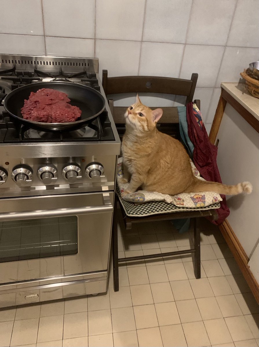 Stasera si cena tardi, mi pare. Che non si ripeta. (Ha ragione, buonanotte).