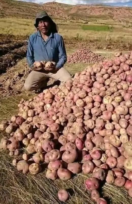 If the farmer doesn't work, we die of hunger, let's thank the farmers around the world.🙏❤️