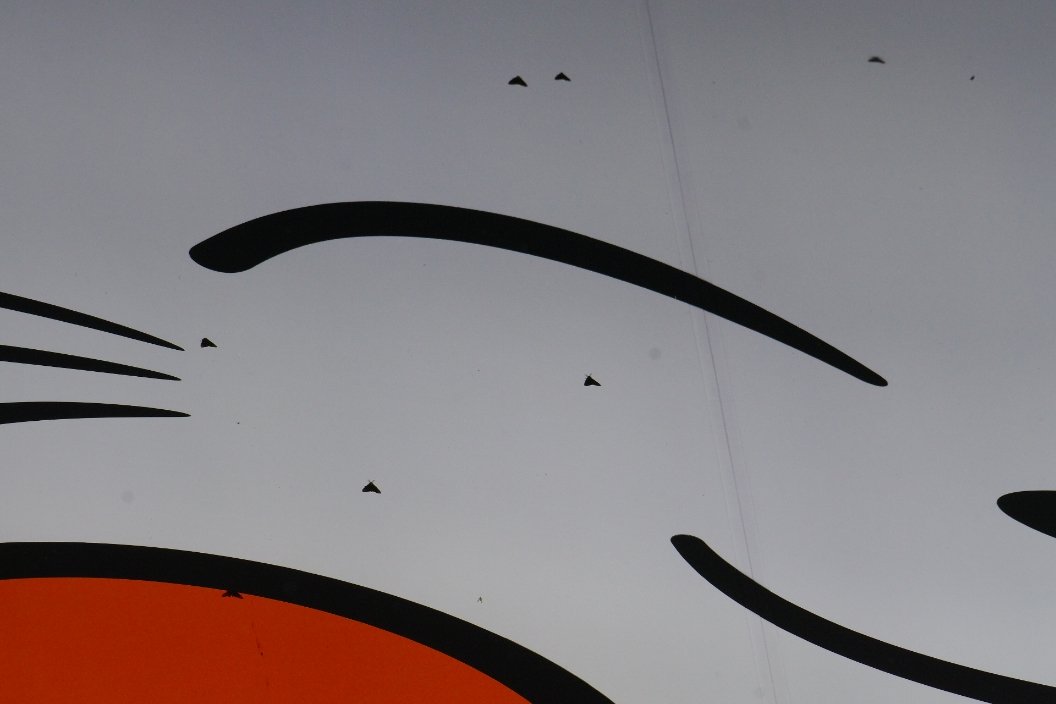 crow_research's tweet image. まねきねこのソバカスは、全部マイマイガ。