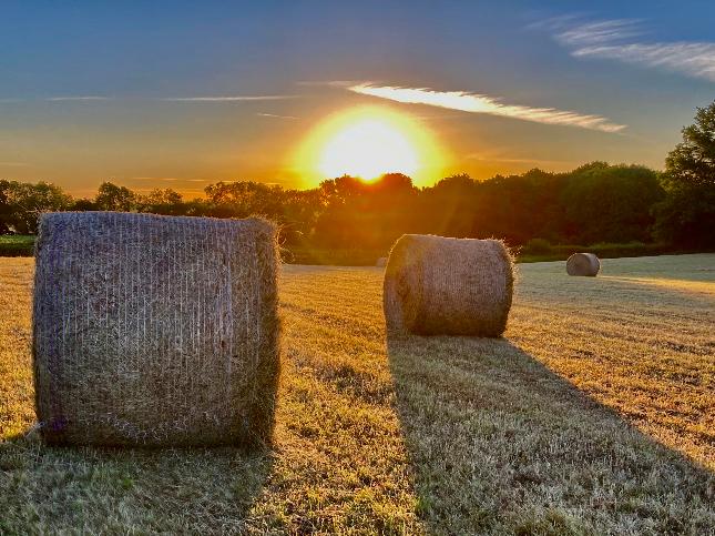 Free evening☀️🫶💛🤍
 much love😘💛🤍☀️