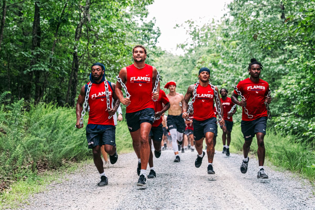 no shortcuts to the summit 🧗‍♂️