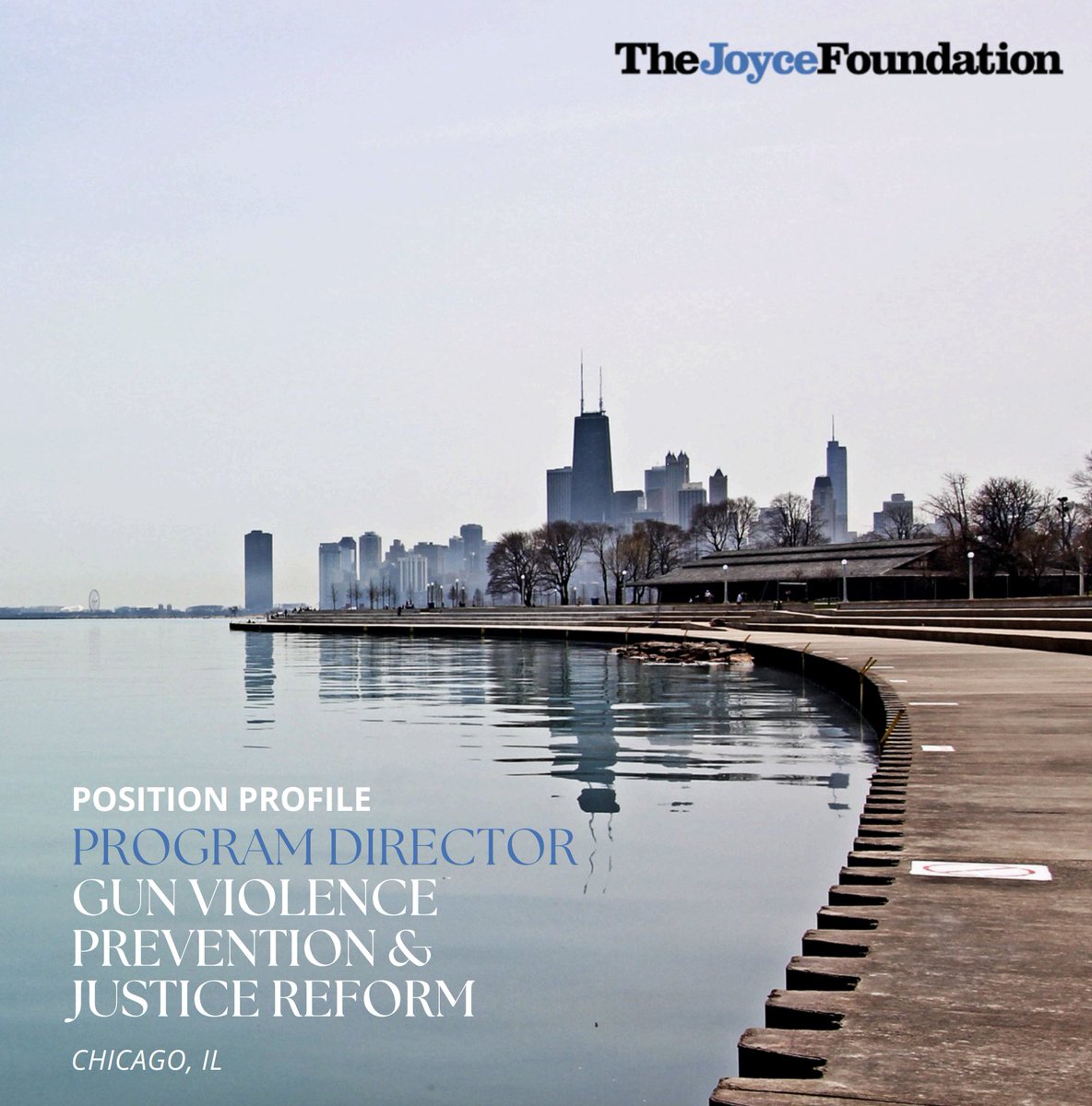 We’re #hiring for the role of Gun Violence Prevention and Justice Reform Program Director. Learn more at the link below and please share with your networks.

joycefoundation.bamboohr.com/careers/30