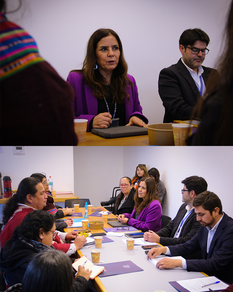 📍En la Región de Coquimbo, con la presencia de autoridades nacionales y locales, se instaló oficialmente el primer Consejo de la Sociedad Civil (COSOC) Regional del Servicio Nacional del Patrimonio Cultural.