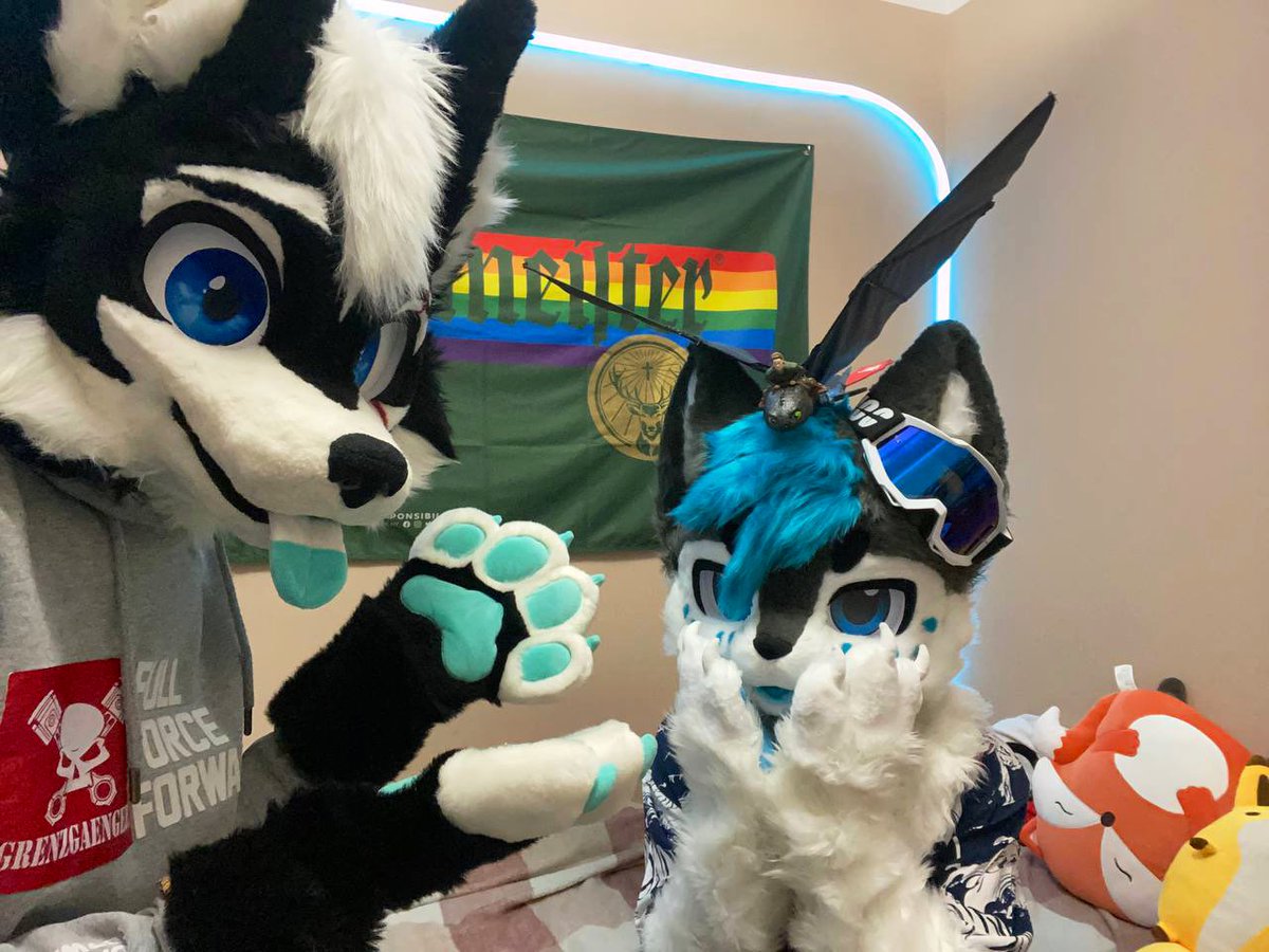 Awrf don’t move don’t move! That’s a Night Fury on your head hihi X3 🌙🐉

🐱 <a href="/WhitePanth3r99/">Snowee</a> 
#FursuitFriday