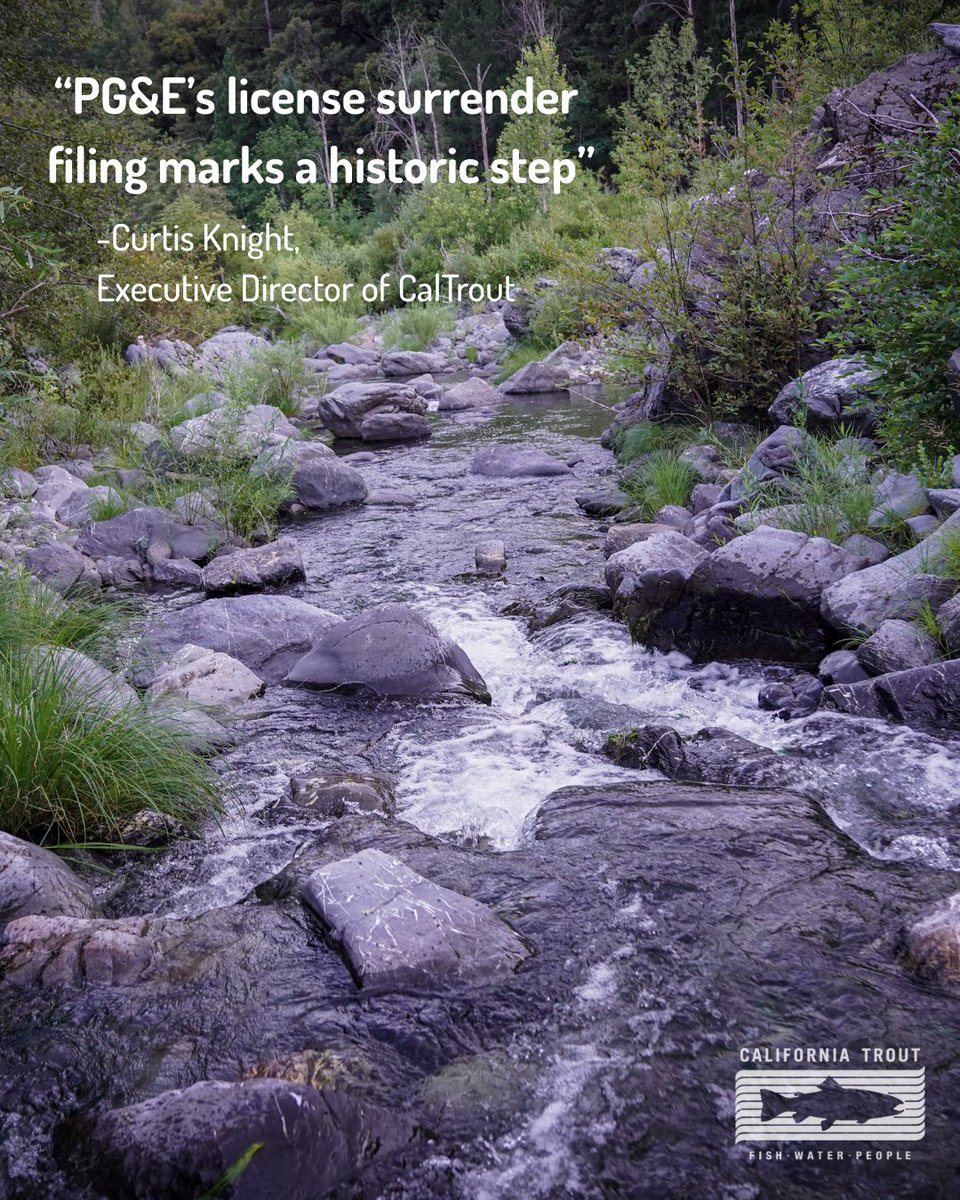 CalTrout's tweet image. 🚨 Today @PGE4Me submitted its License Surrender Application & Decommissioning Plan for the Potter Valley Project, formally launching the process to remove Scott & Cape Horn dams on the Eel River. Join PG&E's virtual town hall Aug 11, 3-5pm & learn more! caltrout.org/news/pge-makes…
