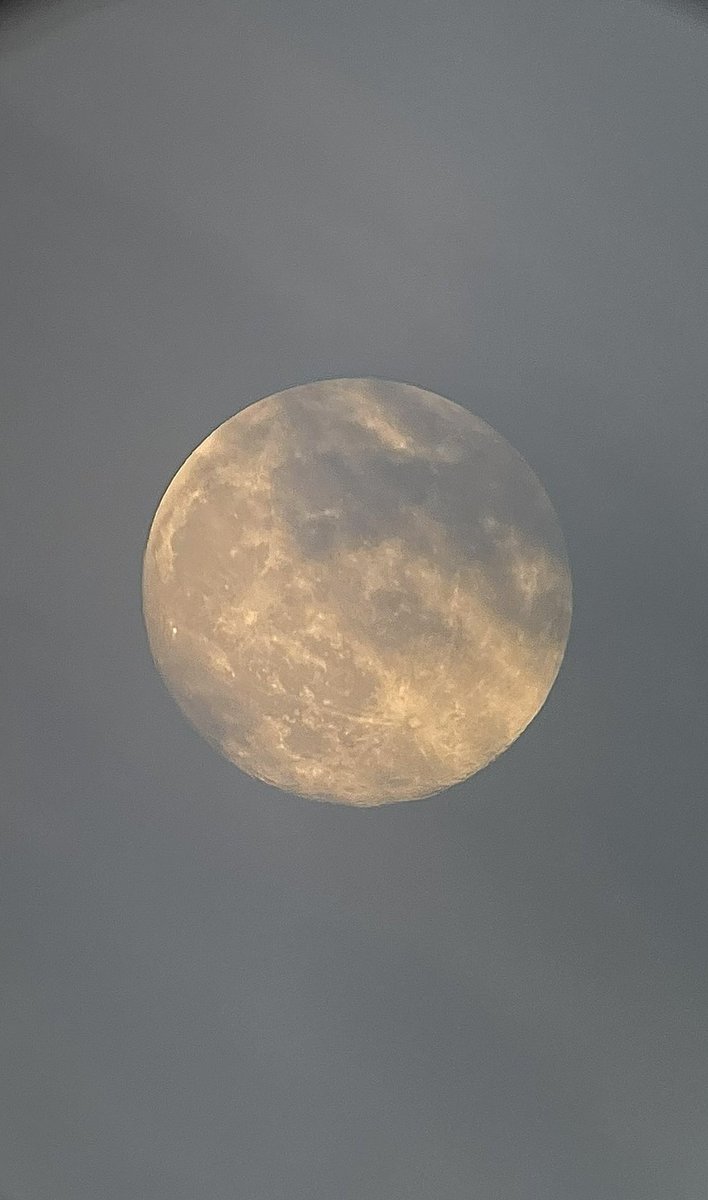 lsky38's tweet image. Day                                          Night