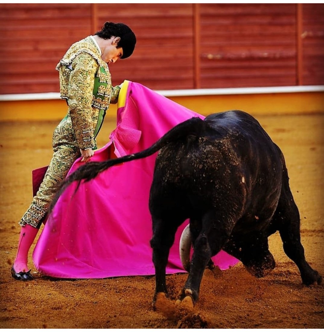 Se llama Antonio Santana Claros, y sabe torear.