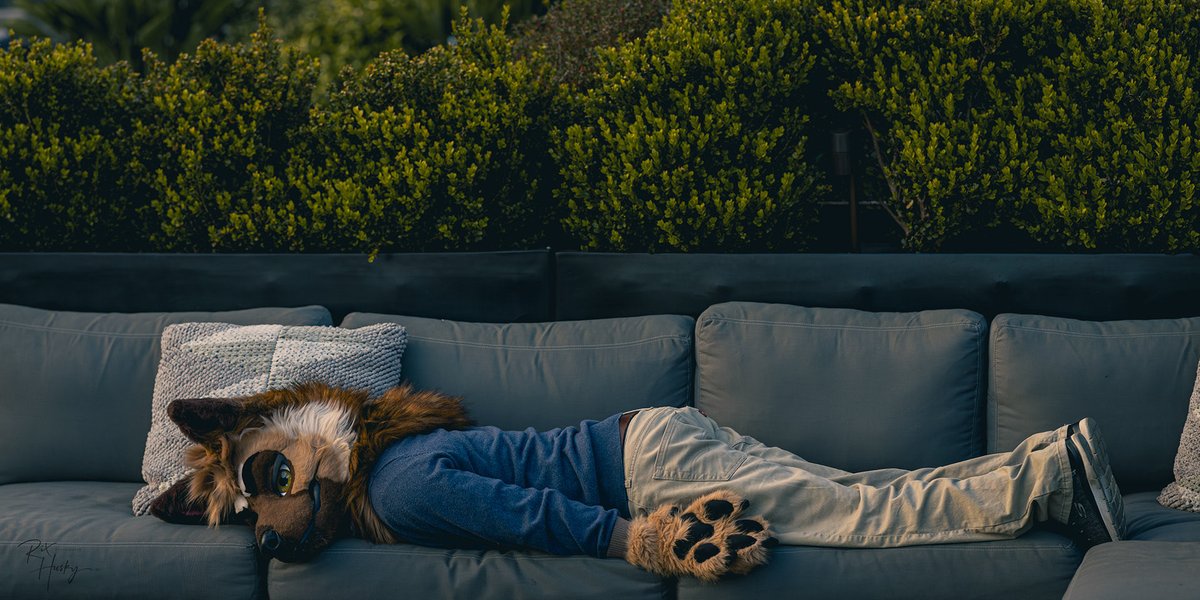 Just 5 more minutes... 💤

#FursuitFriday
🐺: <a href="/Anielde54/">I'm Okay Ani @ FWA!</a>