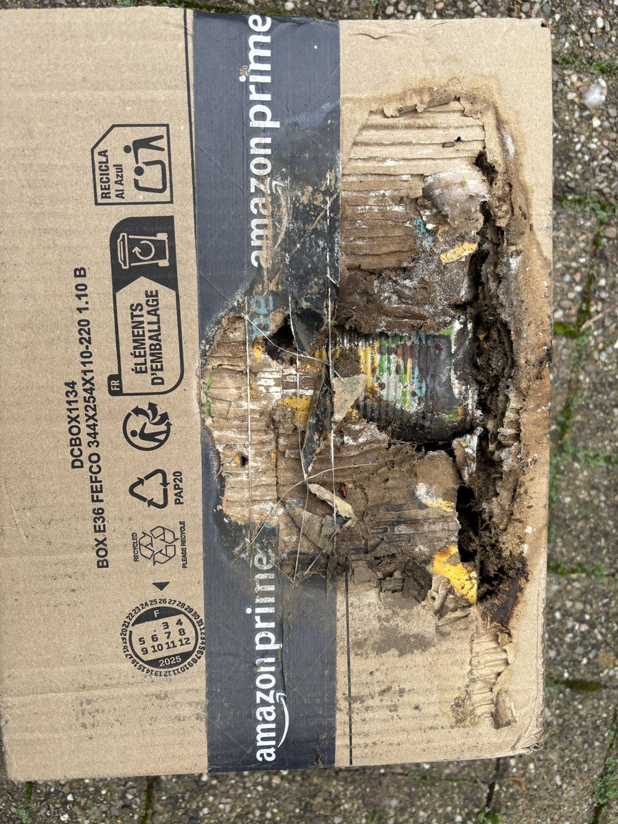 AnnaLongthorp's tweet image. Figured out where all the flies were coming from 🪰🐛
Thanks Mr Amazon driver, I’ve been sticking my hand in that oblivious 🤢