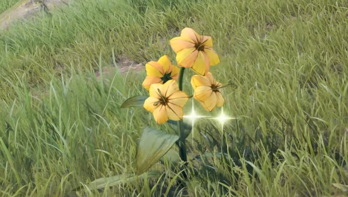 dazed_moon111's tweet image. 1.8 NEW MATERIALS TO COLLECT
While watching the trailer, three new flora species were revealed — a tree and two different types of flowers! 🌸
I’ve listed what I believe they’re based on (though they’ll likely have different names in-game):
❀ Plum Blossom Tree
❀ Lotus Flowers…