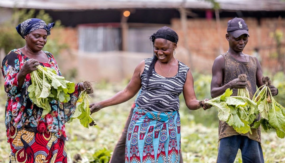 ModernAgri_Tips's tweet image. To fight climate change and hunger, we must invest in smallholders with sustainable practices that boost productivity and protect the planet. Secure livelihoods = resilient communities. #SustainableAgriculture #SmallholderFarmers #ClimateResilience