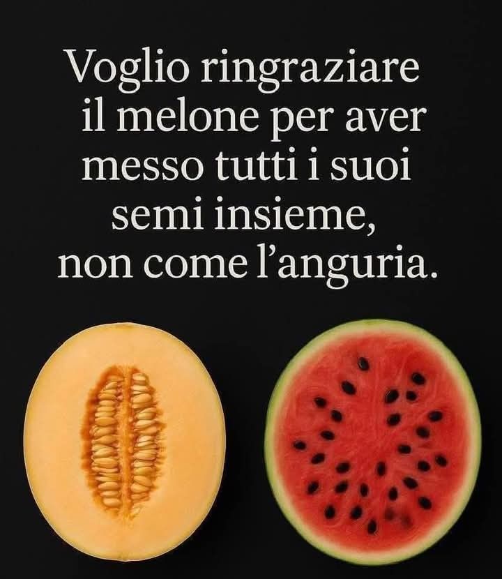 luca_anastasi's tweet image. Un sentito ringraziamento al melone...👏👏😵😵😍😍😅😅😅😅
#perdire
#buonaserata
