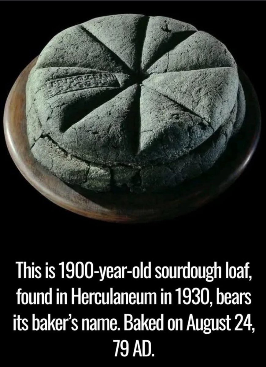 Or it could just be a standard McDonalds hamburger bun.