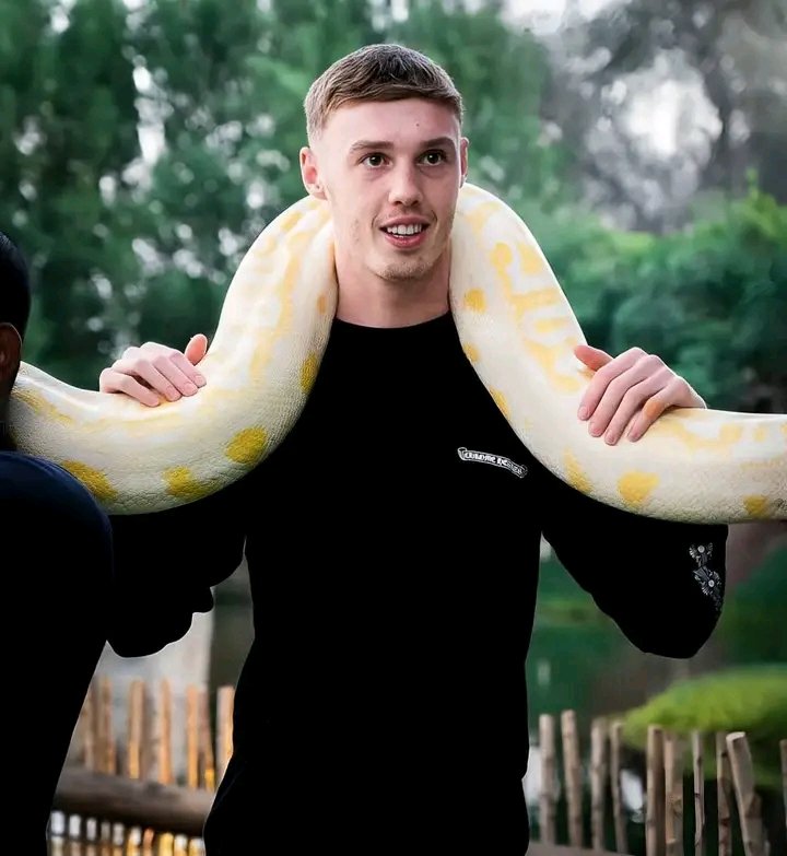 Sobalaje24's tweet image. Palmer,Gusto , Caicedo and Neto about to send Chelsea fans to ICU 👀🤣🤣🤣🤣